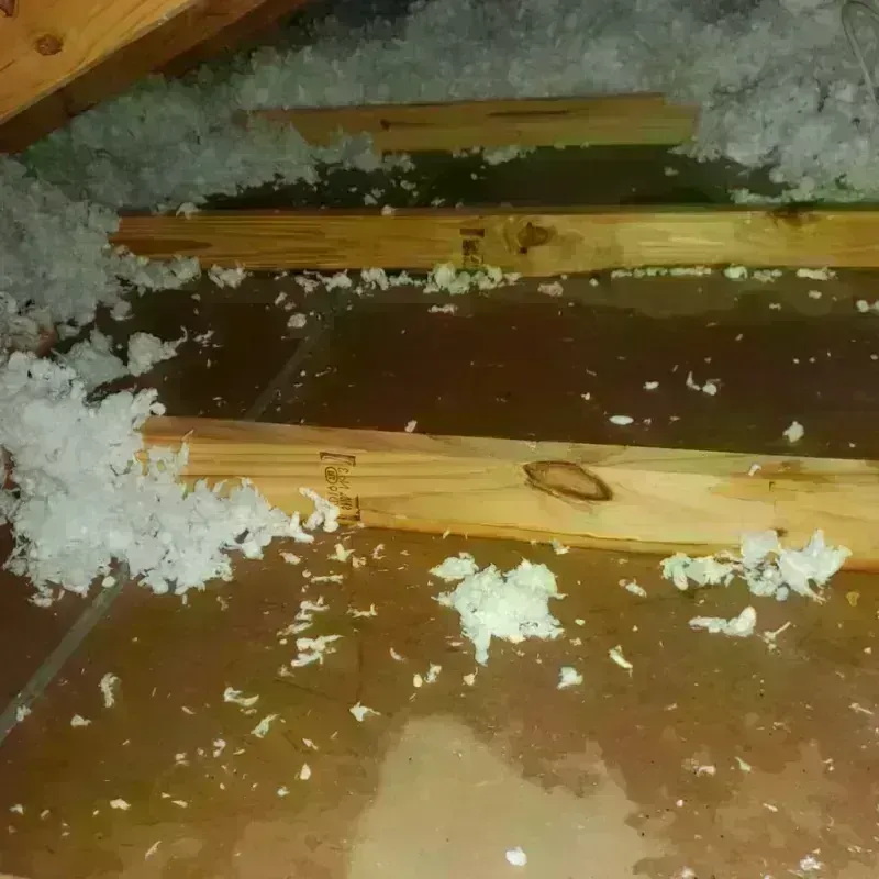 Attic Water Damage in Loomis, CA